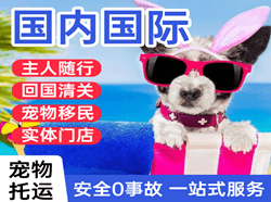 长春龙嘉空运地址国际宠物托运 【国